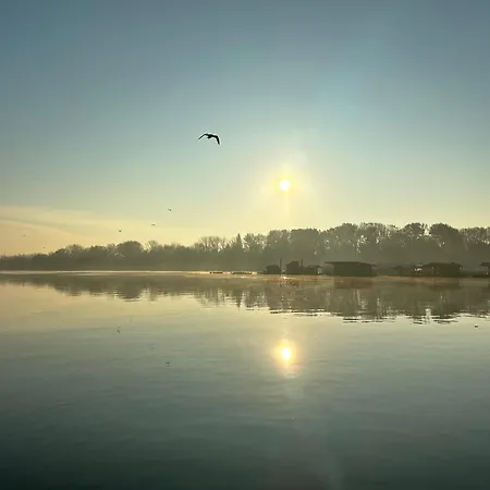 Swan Belgrad