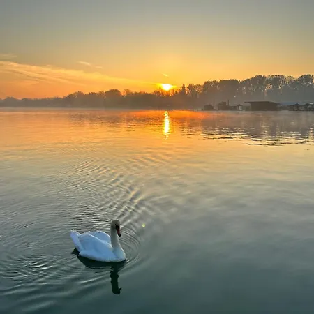 Swan Guest house 4*